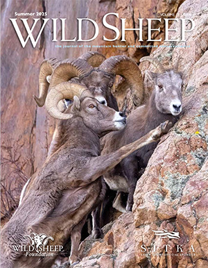 Wild Sheep magazine Summer 2025 Cover